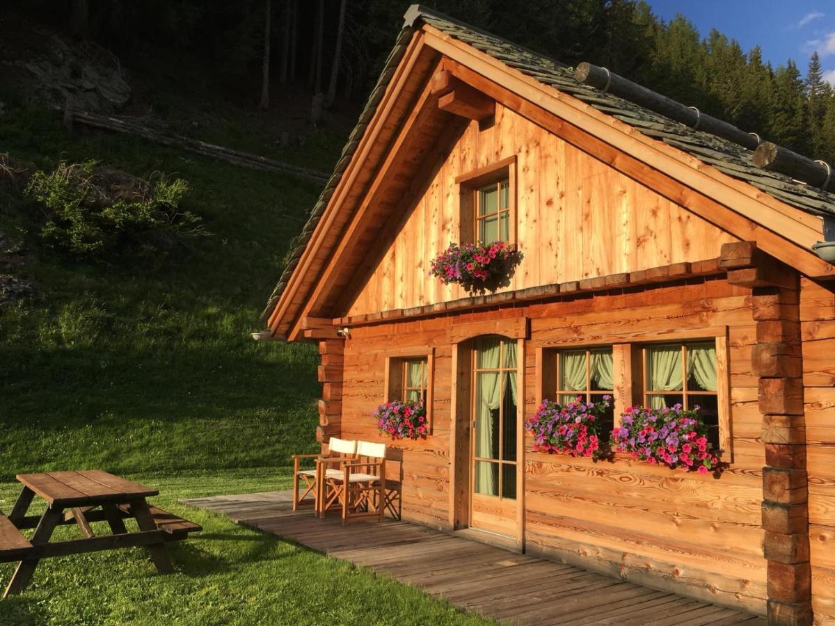 Alpine *