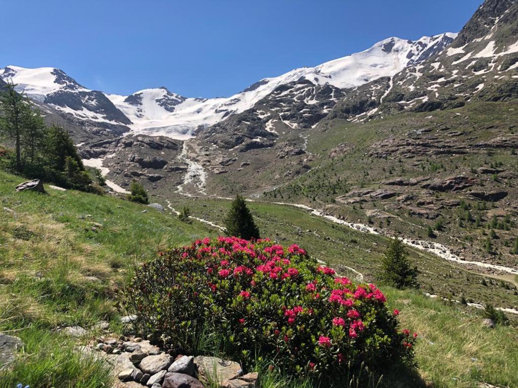 Alpine Chalet Santa Caterina Valfurva